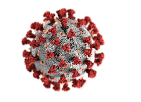 Case-Based Guide to Congenital CMV and Patient Communication Banner